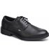 Zapato  blucher cordones Dian Francia